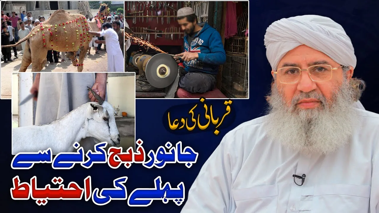 Janwar Zibah Karne Say Phlay Ki Ehtiyat | Qurbani Ki Dua | Haji Shahid Attari | Qurbani Ka Tariqa